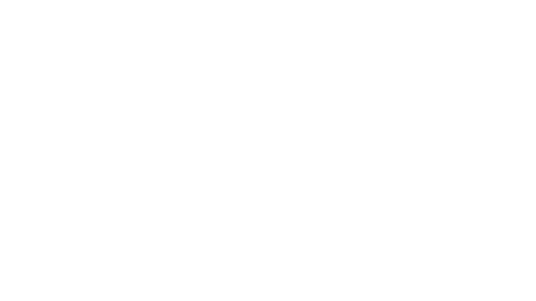 11th Program Animation